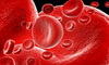 Blood Cleansing