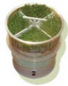 Auto Sprouter