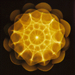 Homeopathics