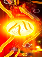 Parasite Cleansing