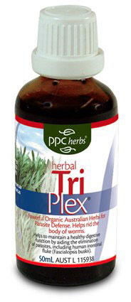 triplex